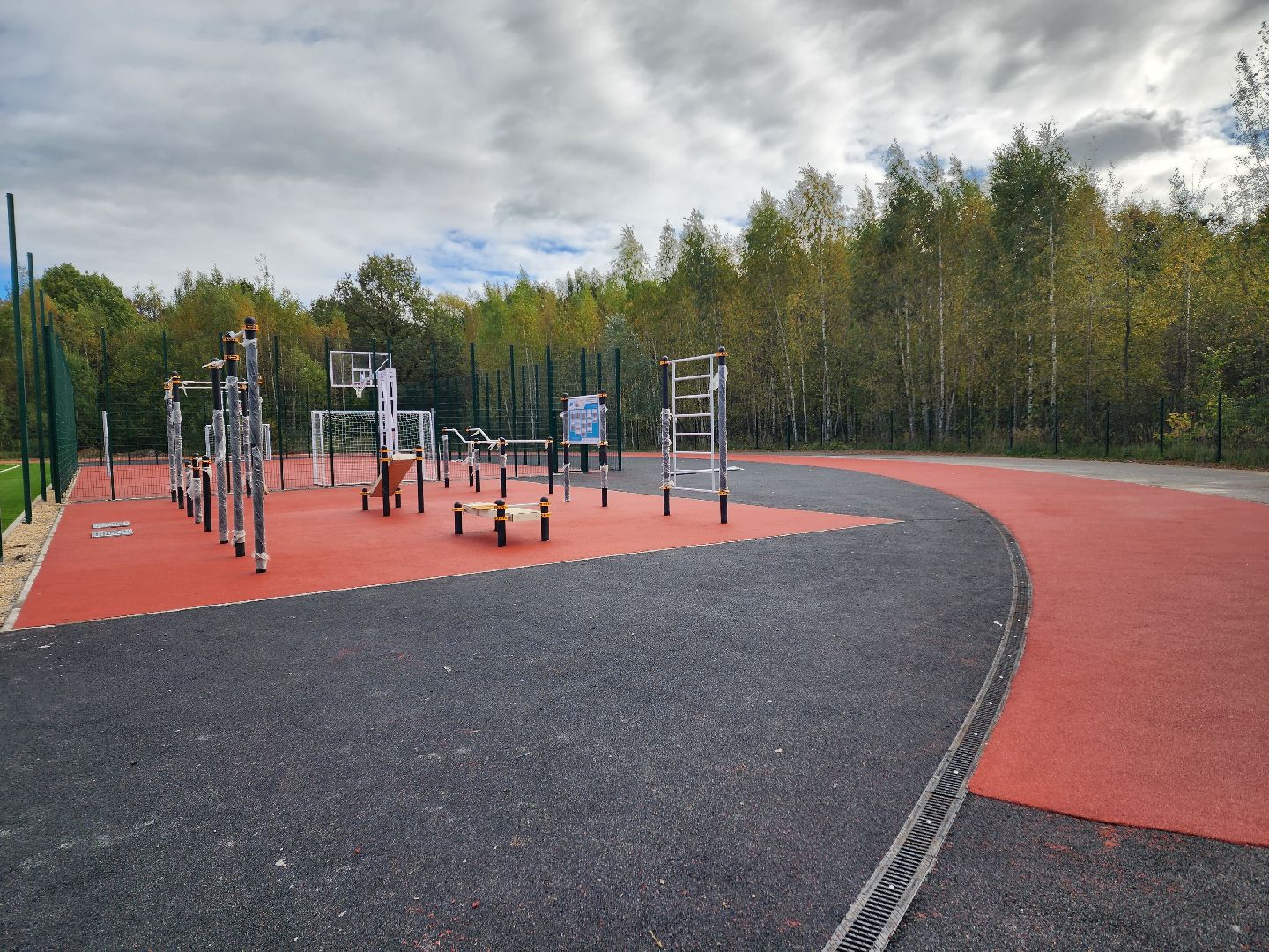 солнечногорск, спорт, стадион, реконструкция, жители ,