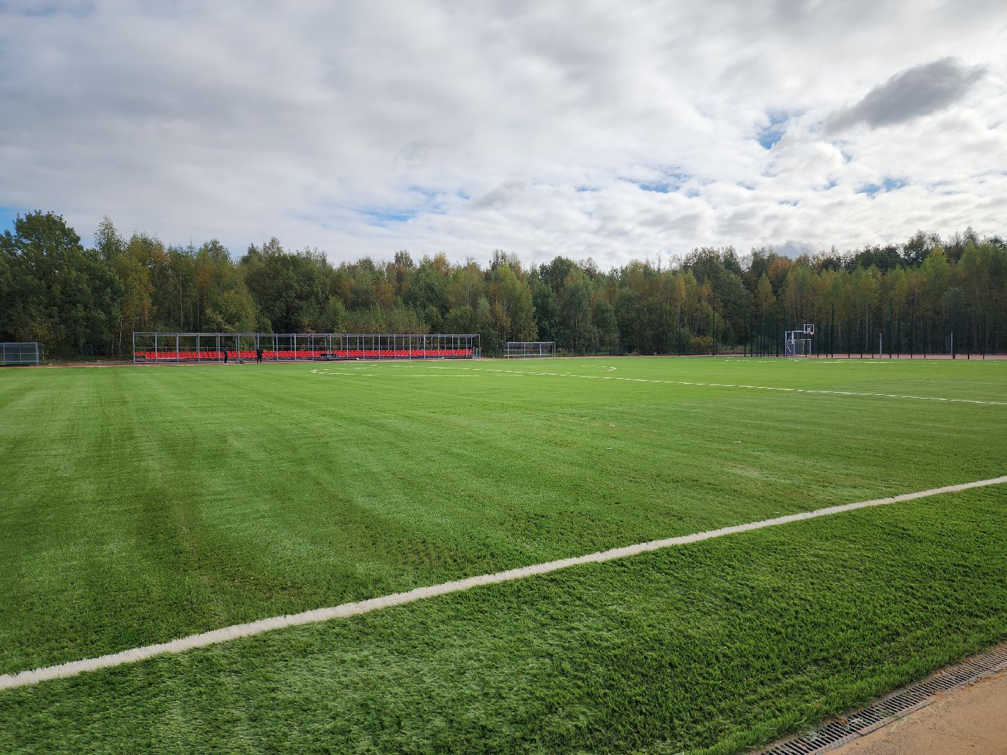 солнечногорск, спорт, стадион, реконструкция, жители ,