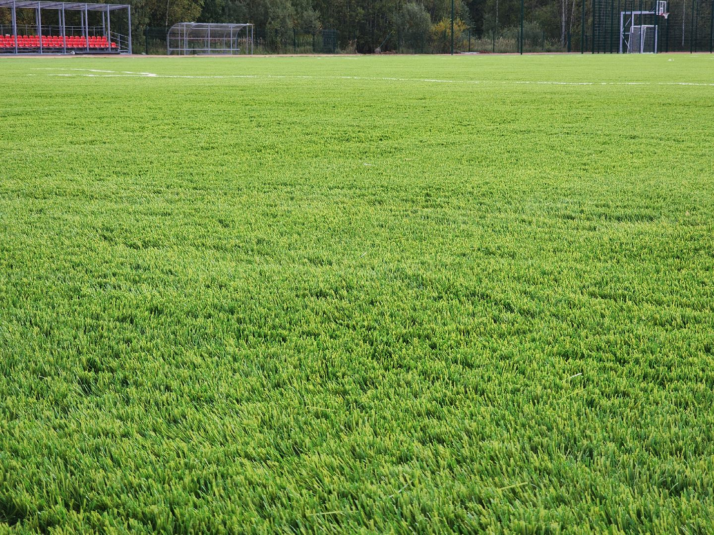 солнечногорск, спорт, стадион, реконструкция, жители ,