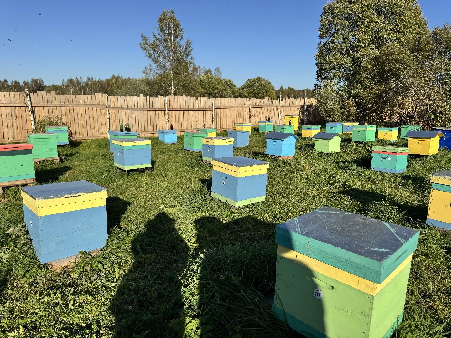 шаховская, пасека, экомед, пчеловод, пчеловодство,