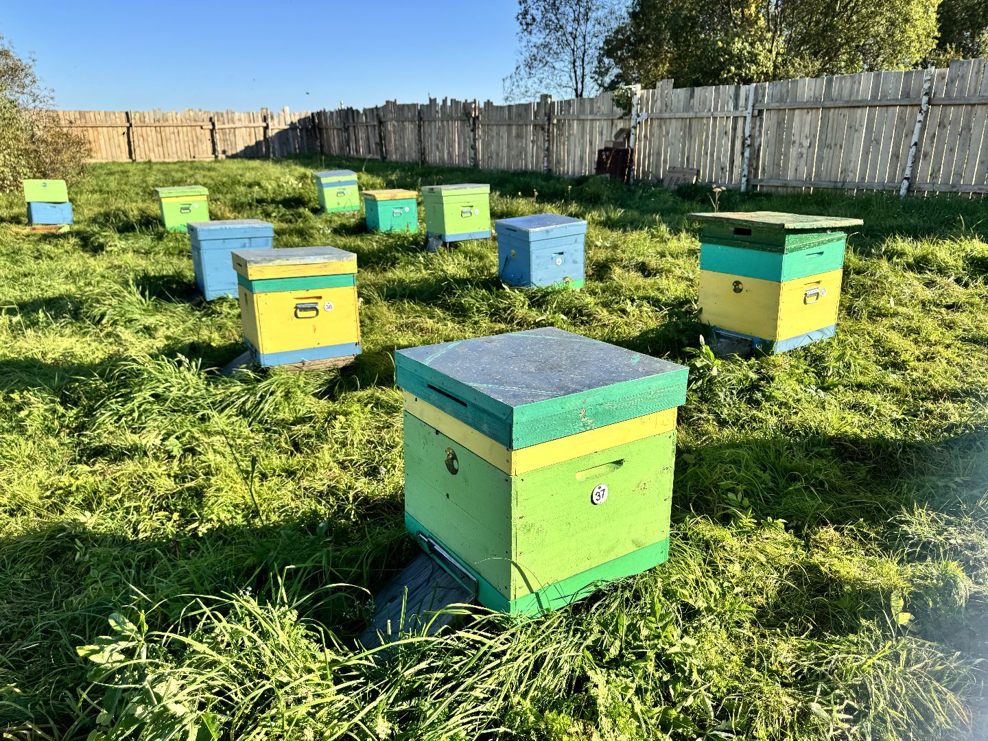 шаховская, пасека, экомед, пчеловод, пчеловодство,