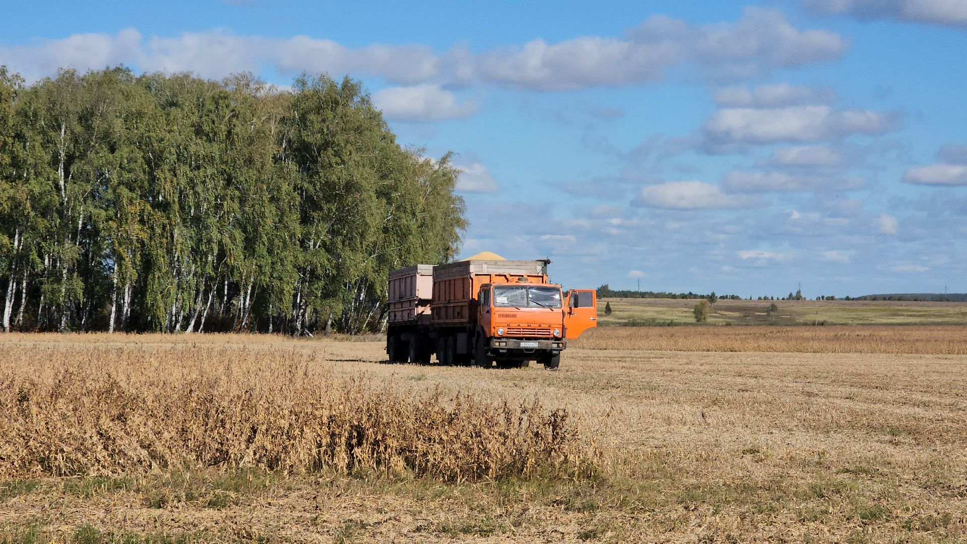 луховицы, сельское хозяйство, уборка сои, туламашагро,