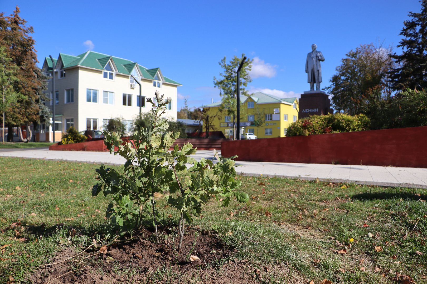 серебряные пруды, день в лесу, сквер ленина,