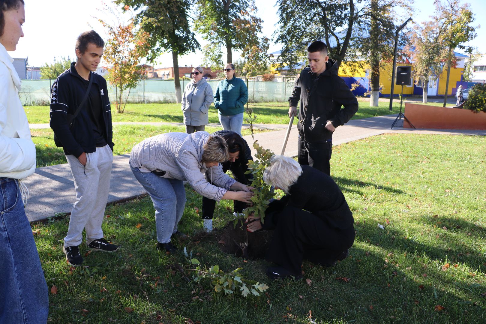 серебряные пруды, день в лесу, сквер ленина,