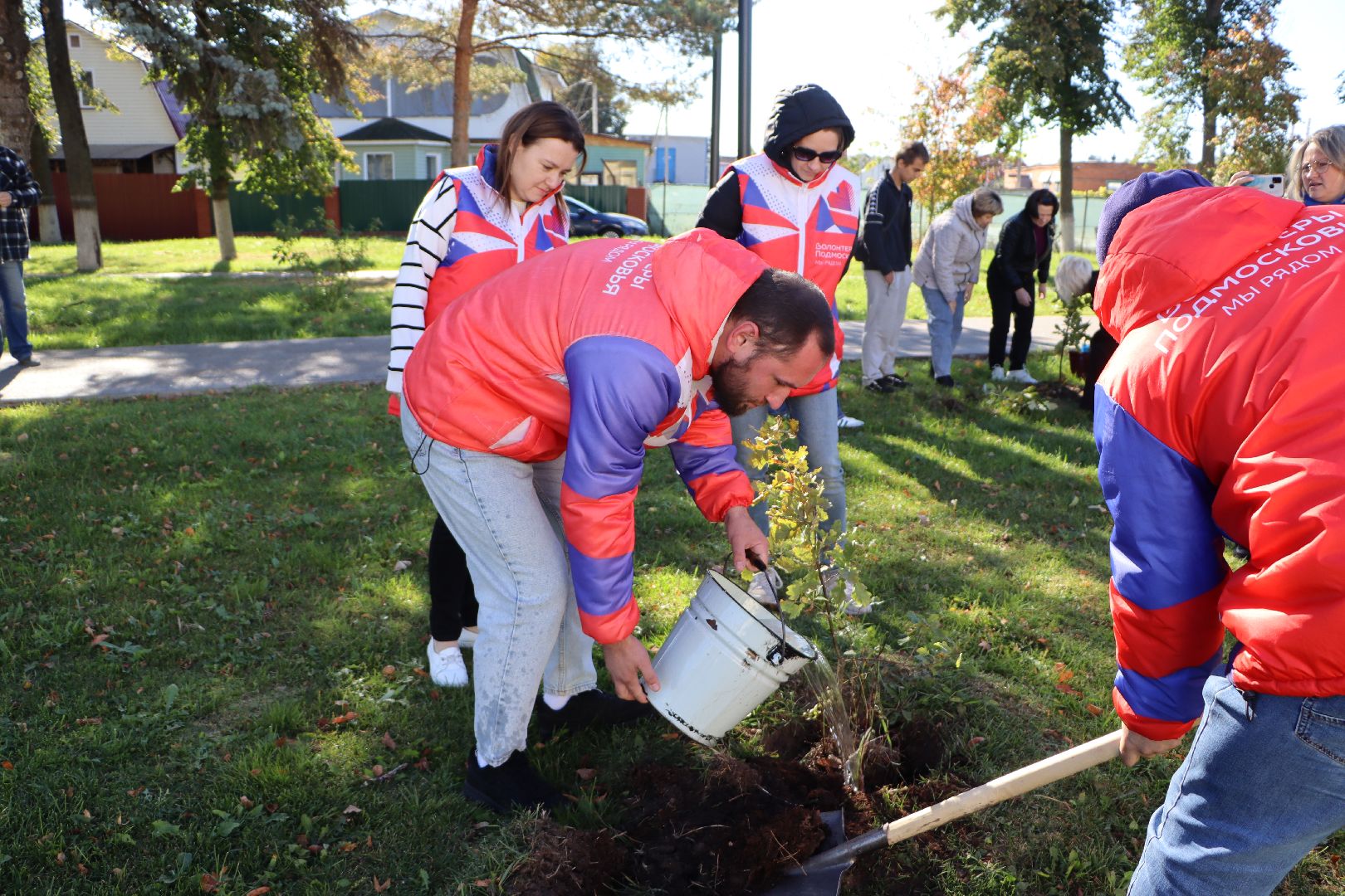 серебряные пруды, день в лесу, сквер ленина,