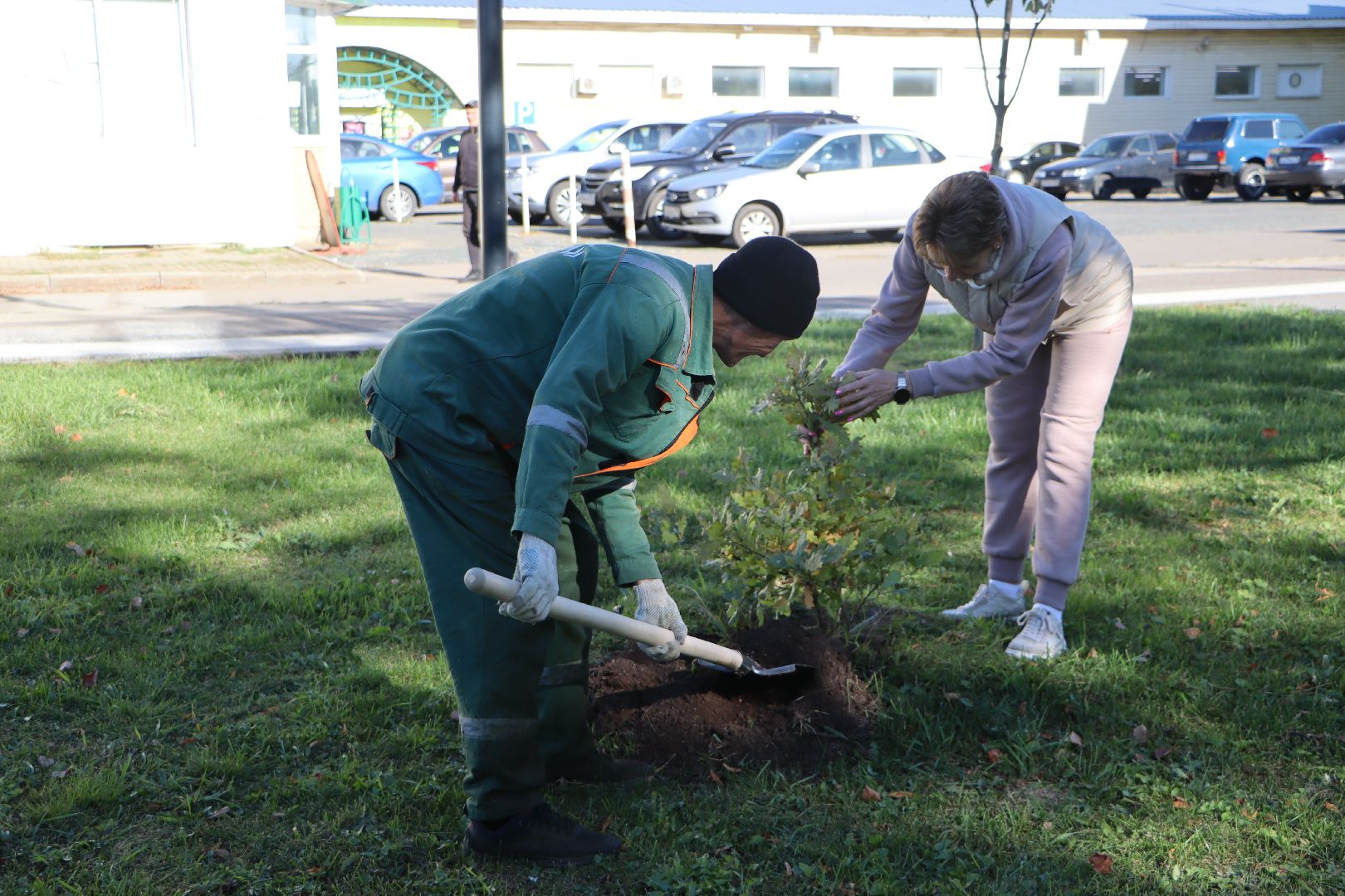 серебряные пруды, день в лесу, сквер ленина,