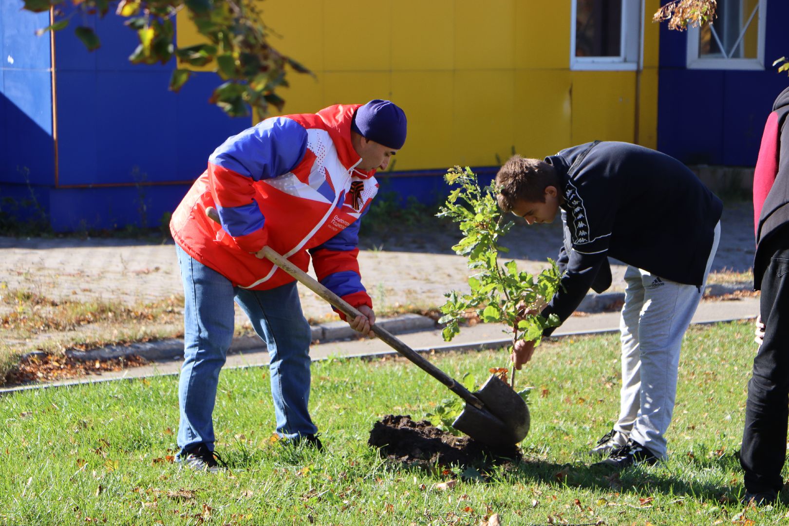 серебряные пруды, день в лесу, сквер ленина,