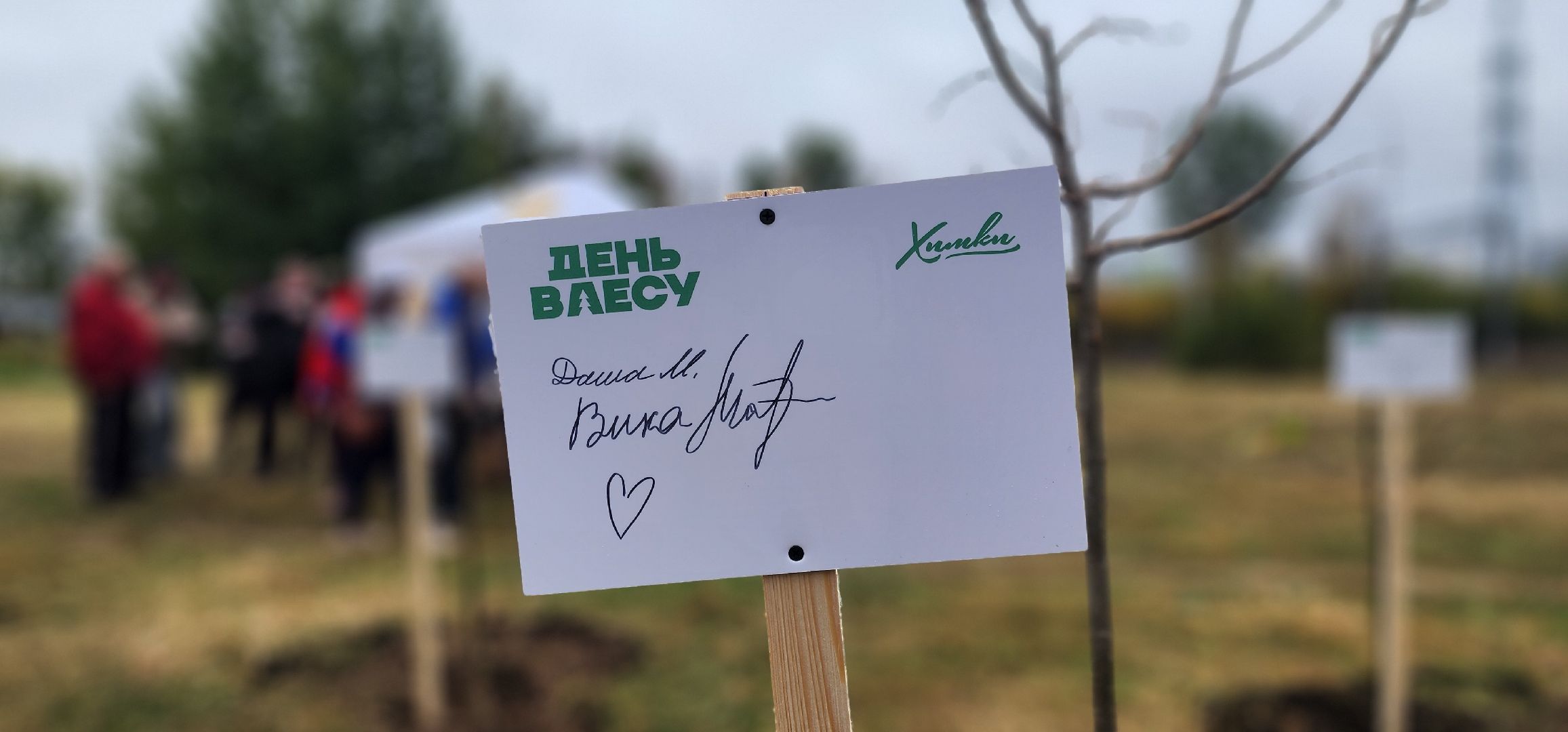 Химки, Экология , высадка деревьев,