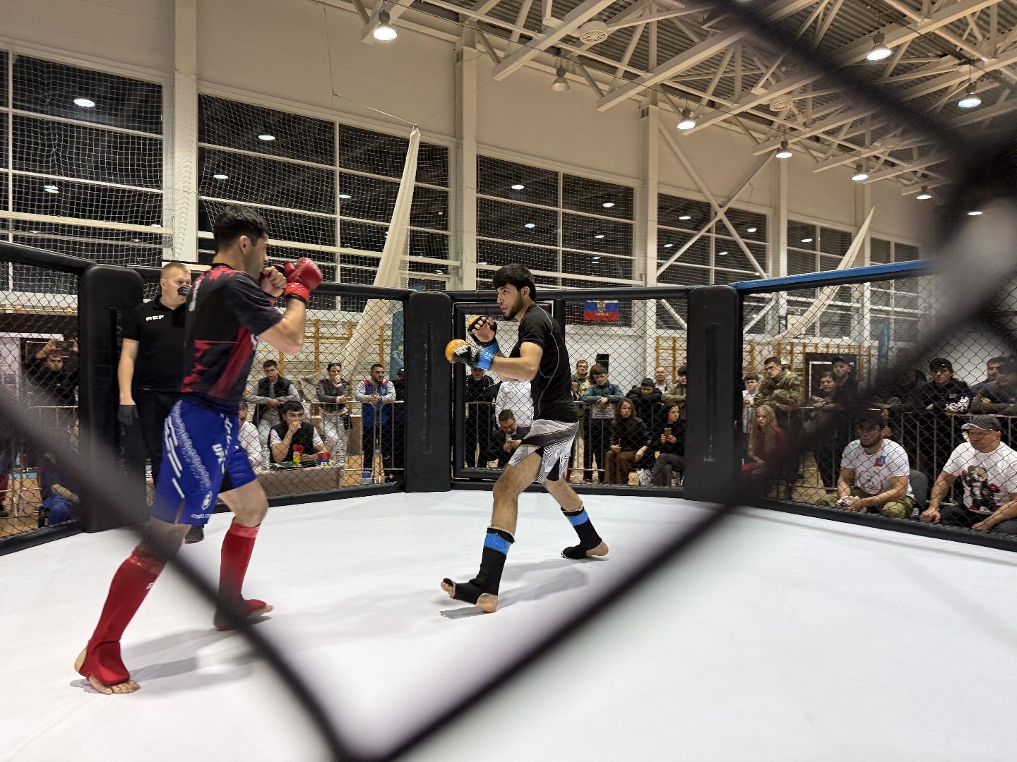 клин, общество, спорт, подмосковье, кикбоксинг, каратэ,  ММА,