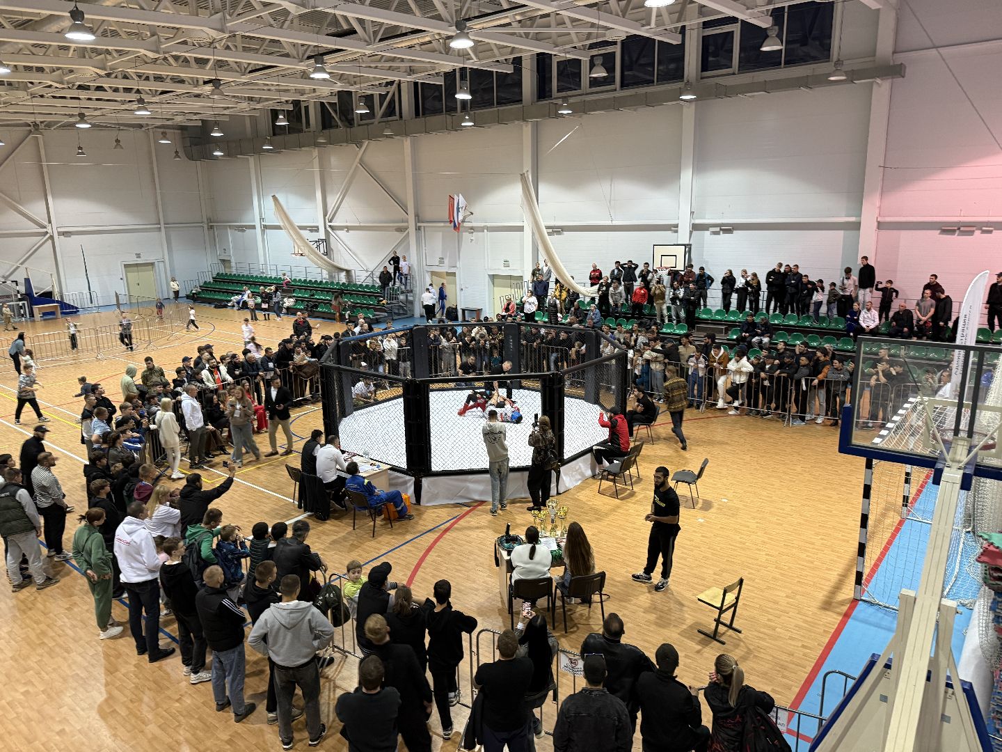 клин, общество, спорт, подмосковье, кикбоксинг, каратэ,  ММА,