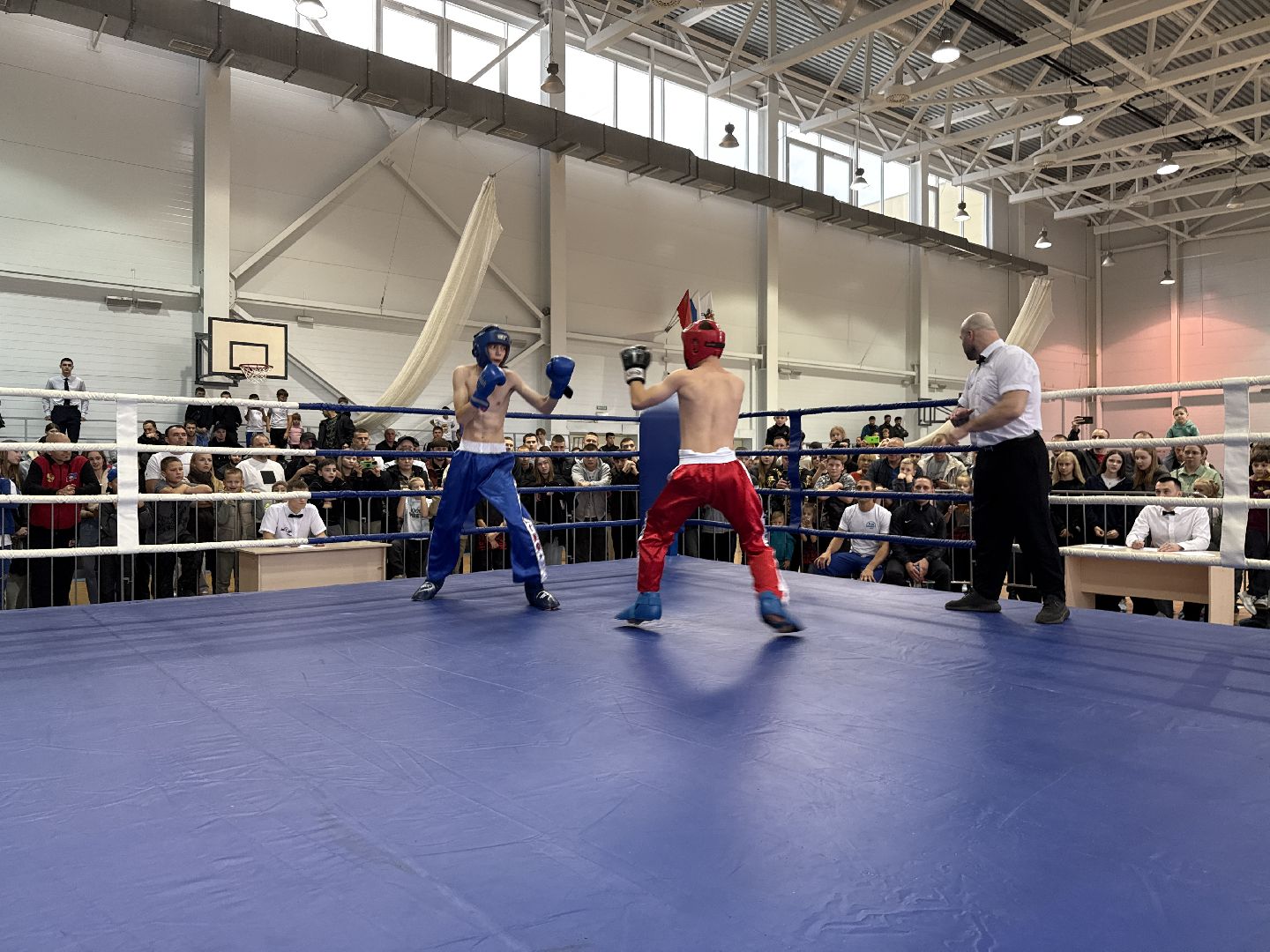 клин, общество, спорт, подмосковье, кикбоксинг, каратэ,  ММА,