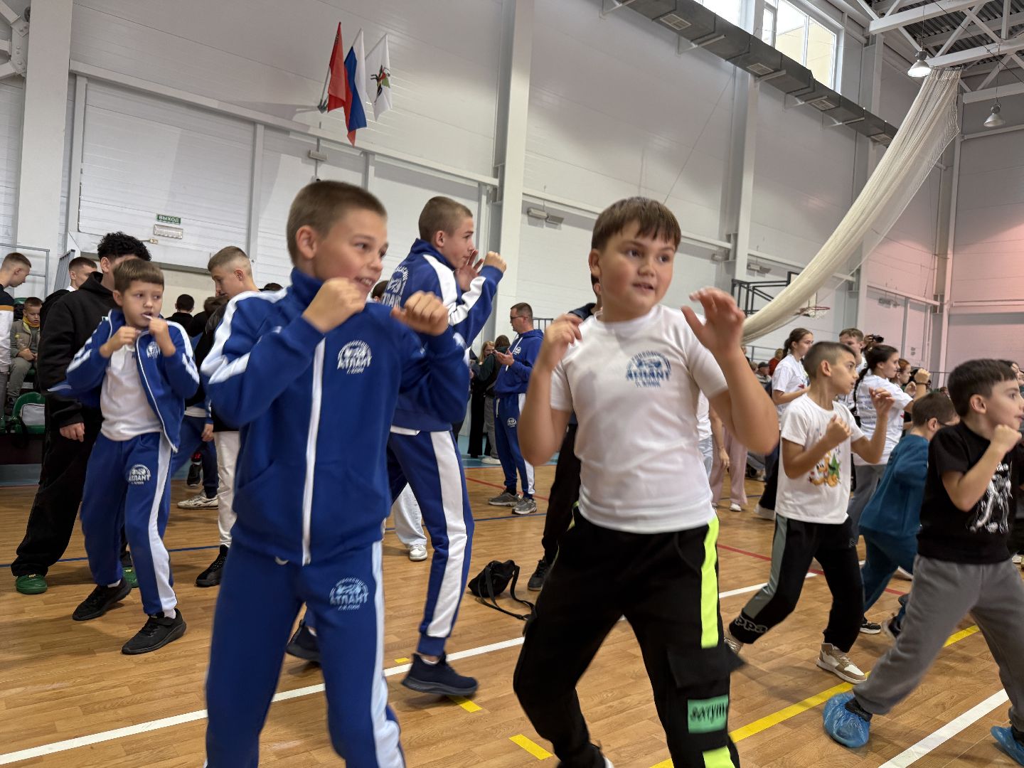 клин, общество, спорт, подмосковье, кикбоксинг, каратэ,  ММА,