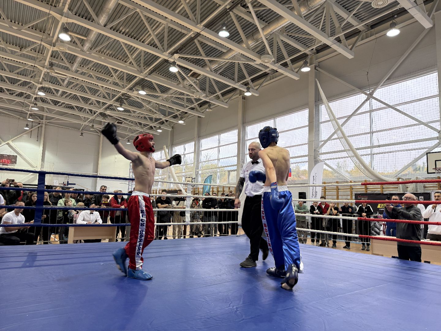 клин, общество, спорт, подмосковье, кикбоксинг, каратэ,  ММА,