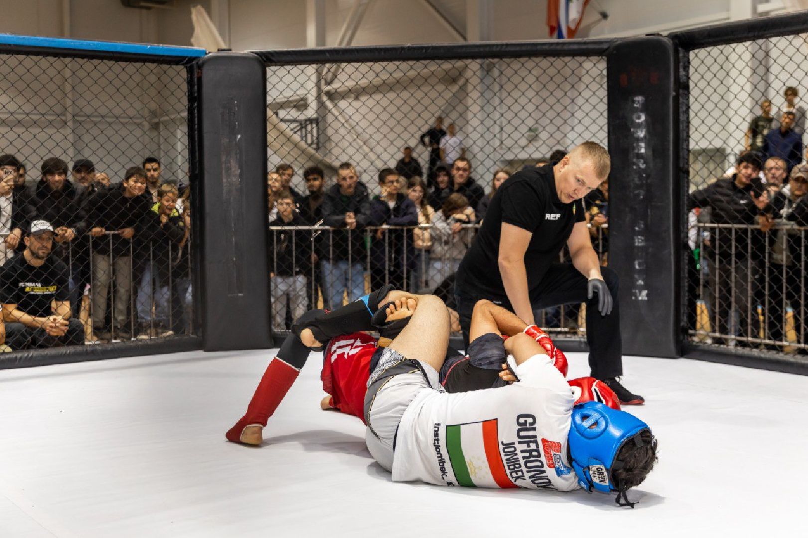 клин, общество, спорт, подмосковье, кикбоксинг, каратэ,  ММА,