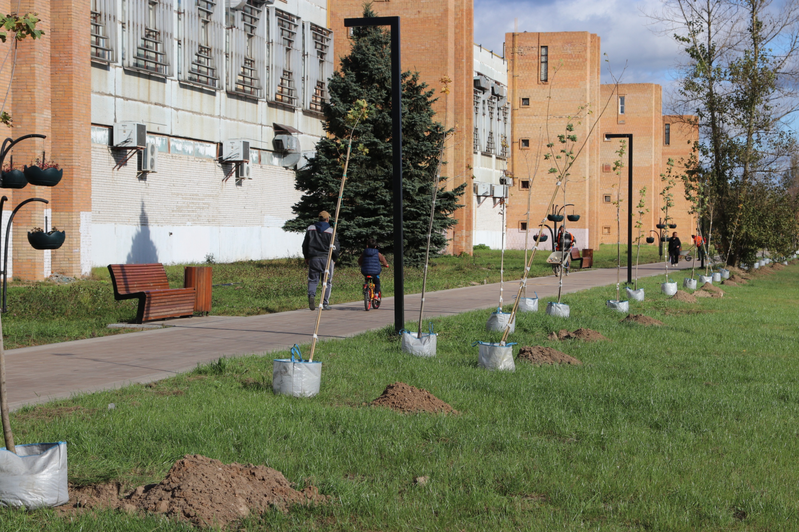 талдомский округ, талдомский городской округ, день в лесу сохраним лес вместе, День в лесу,