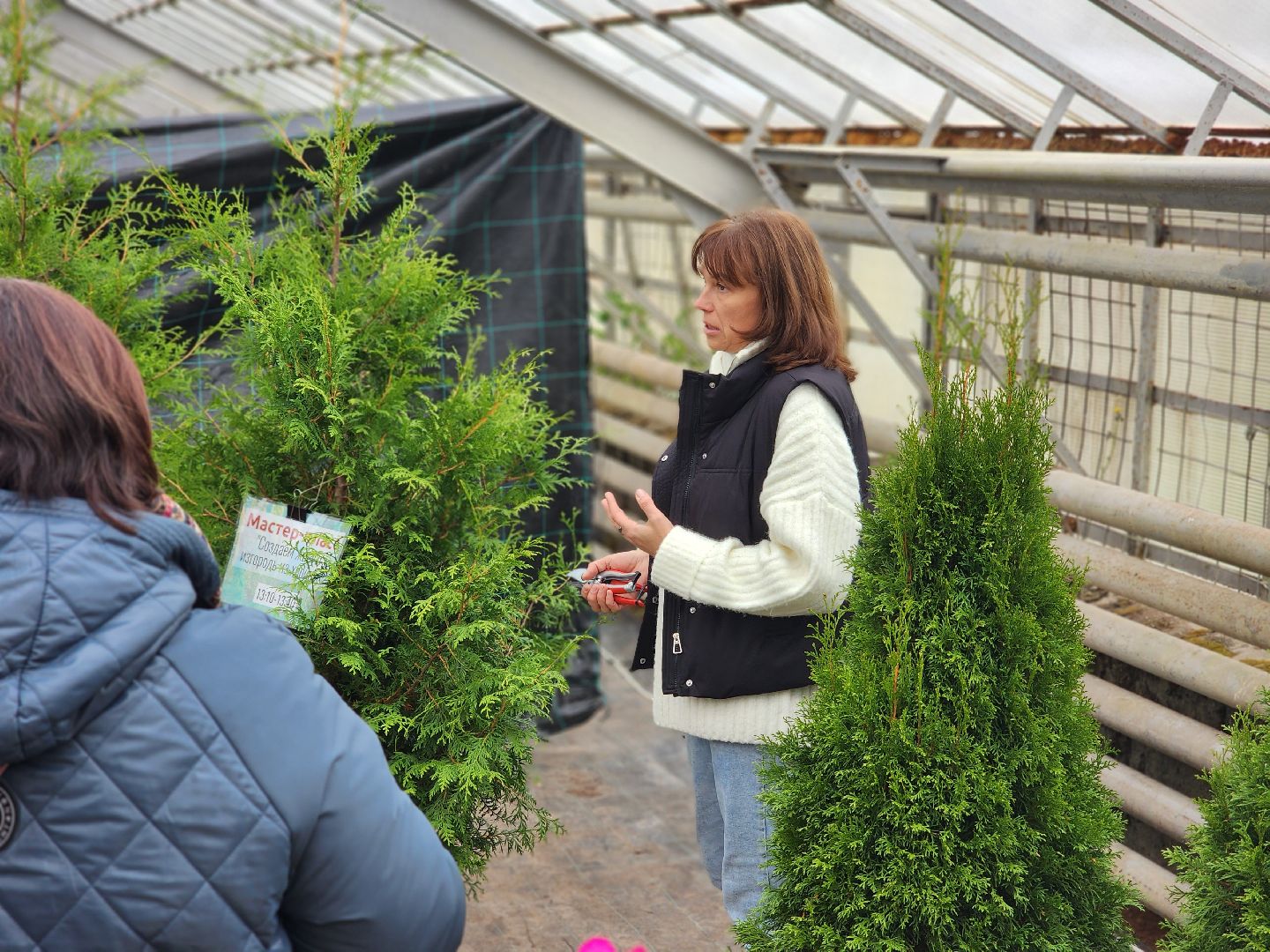 пушкино, пушкинский питомник декоративных растений , пушкинскому питомнику 86, зеленое подмосковье,