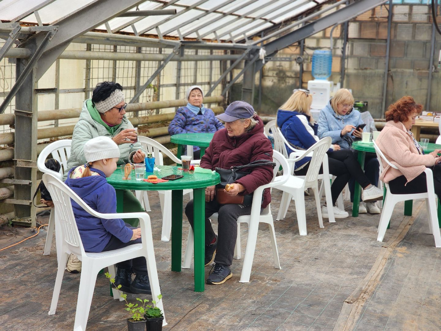 пушкино, пушкинский питомник декоративных растений , пушкинскому питомнику 86, зеленое подмосковье,