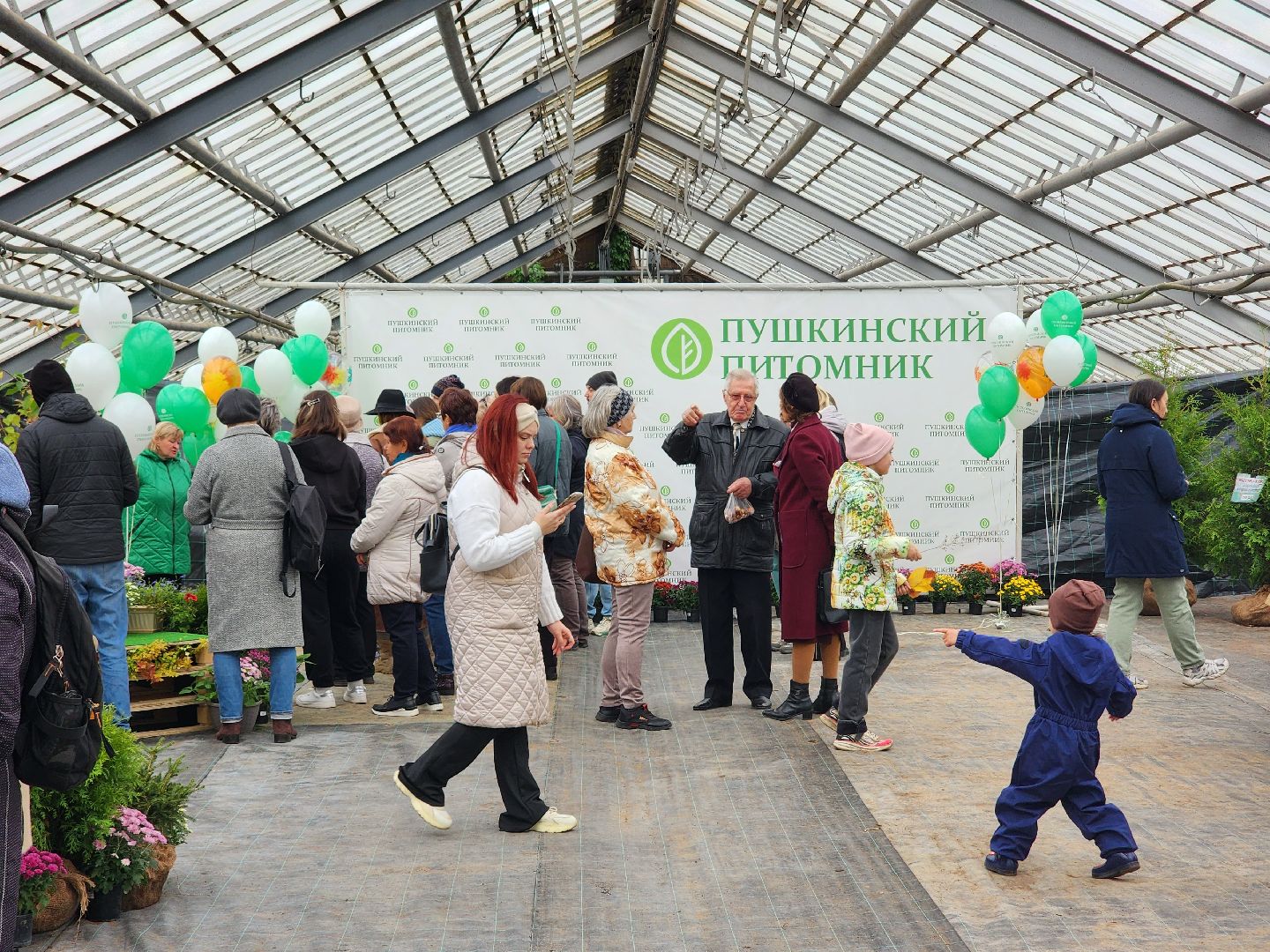 пушкино, пушкинский питомник декоративных растений , пушкинскому питомнику 86, зеленое подмосковье,