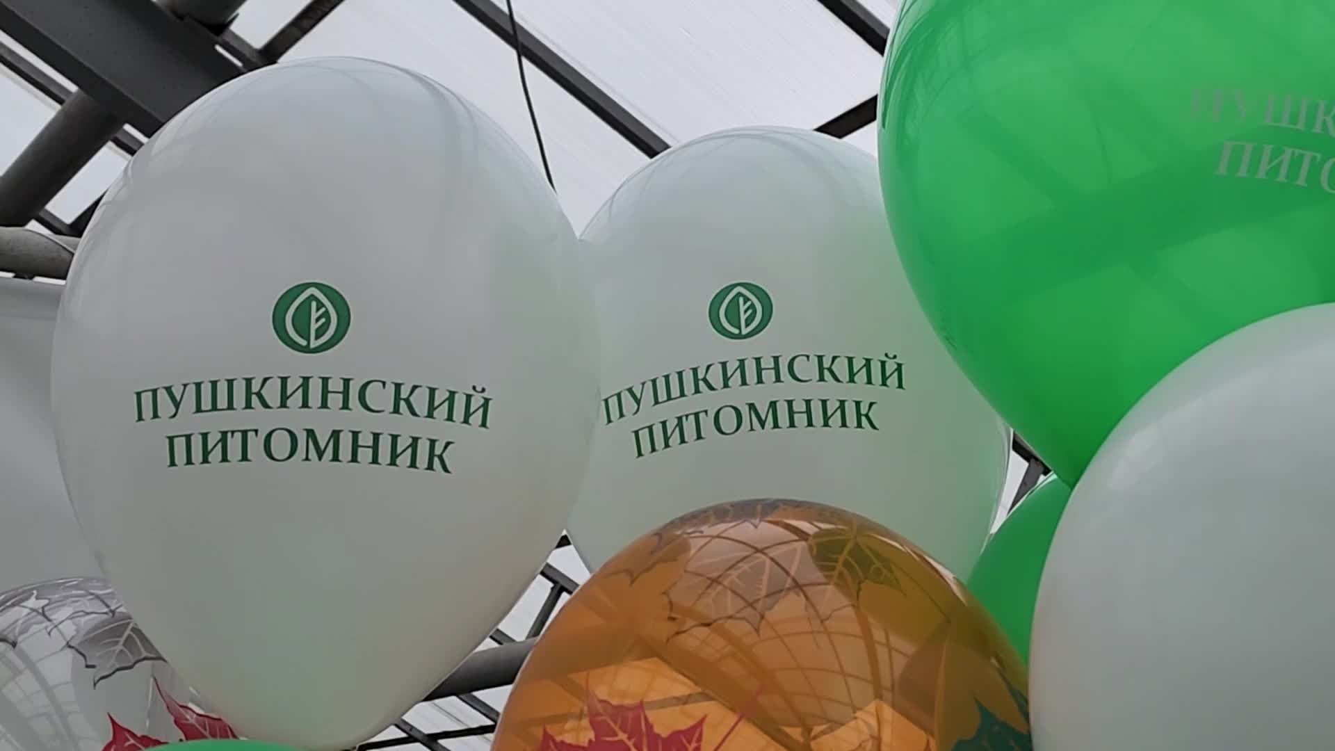 /mediabank_mount//81854/7ecf9a96657f6f75627fb0c06216a7ac.jpg