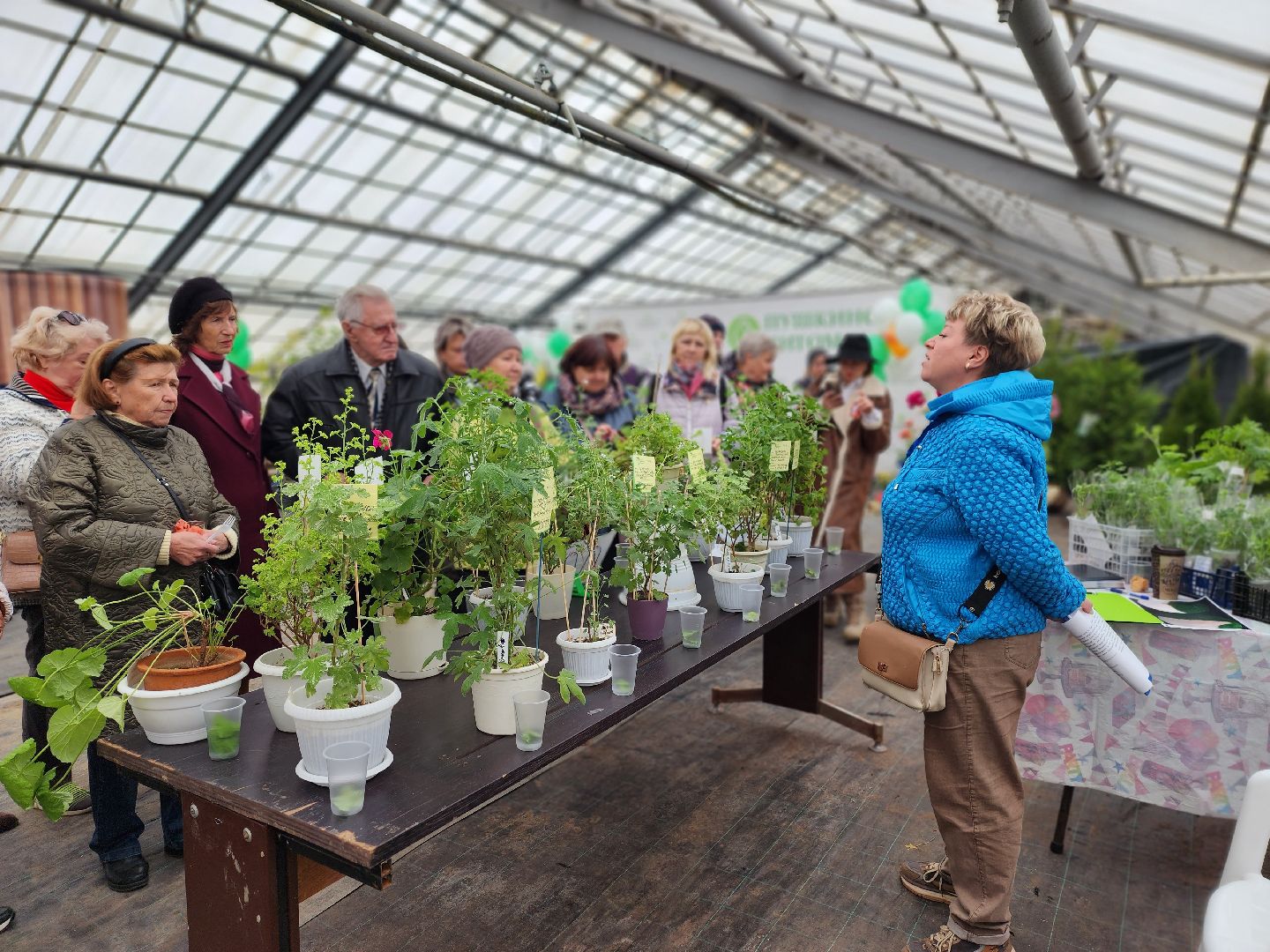 пушкино, пушкинский питомник декоративных растений , пушкинскому питомнику 86, зеленое подмосковье,