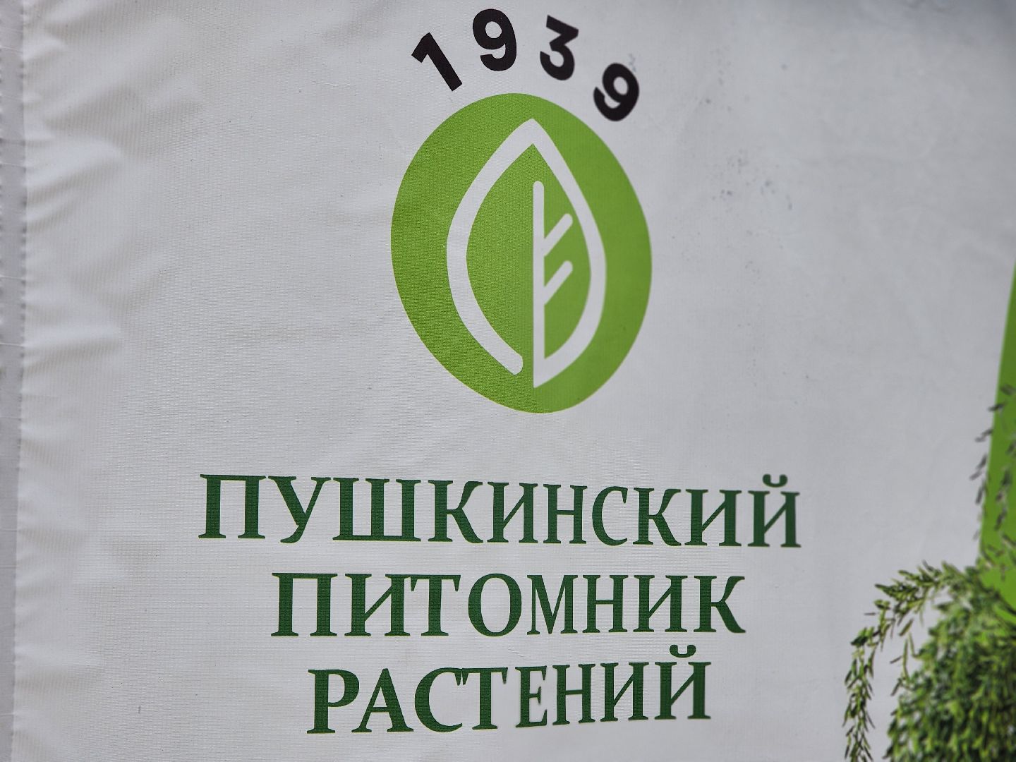 пушкино, пушкинский питомник декоративных растений , пушкинскому питомнику 86, зеленое подмосковье,
