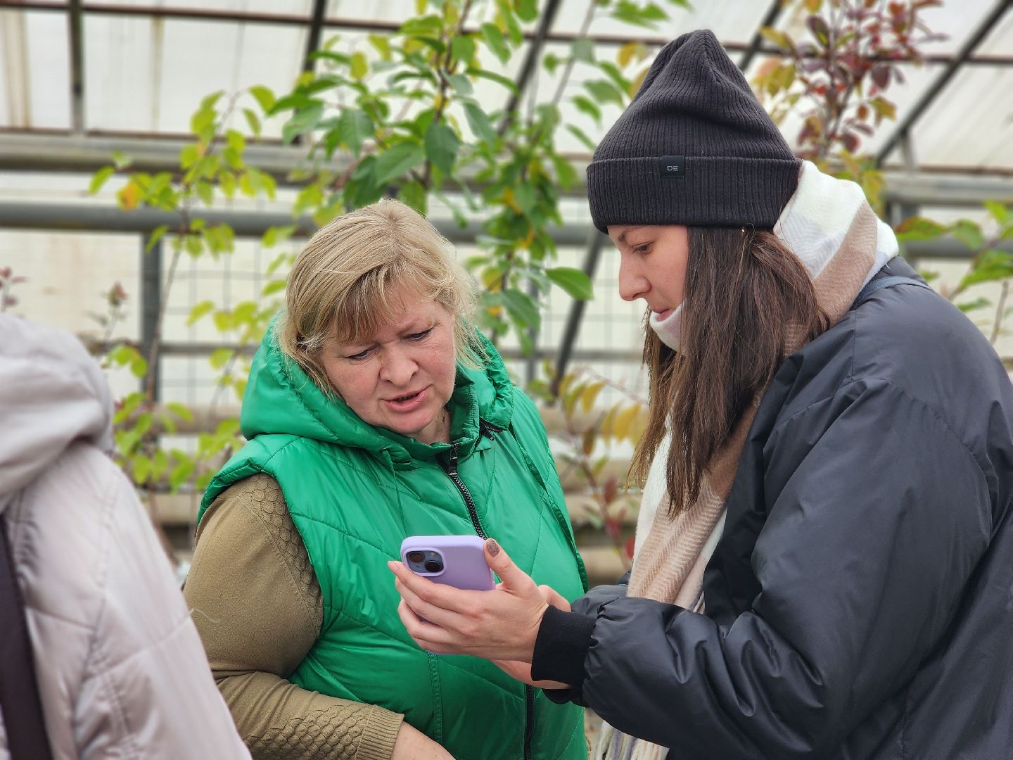 пушкино, пушкинский питомник декоративных растений , пушкинскому питомнику 86, зеленое подмосковье,