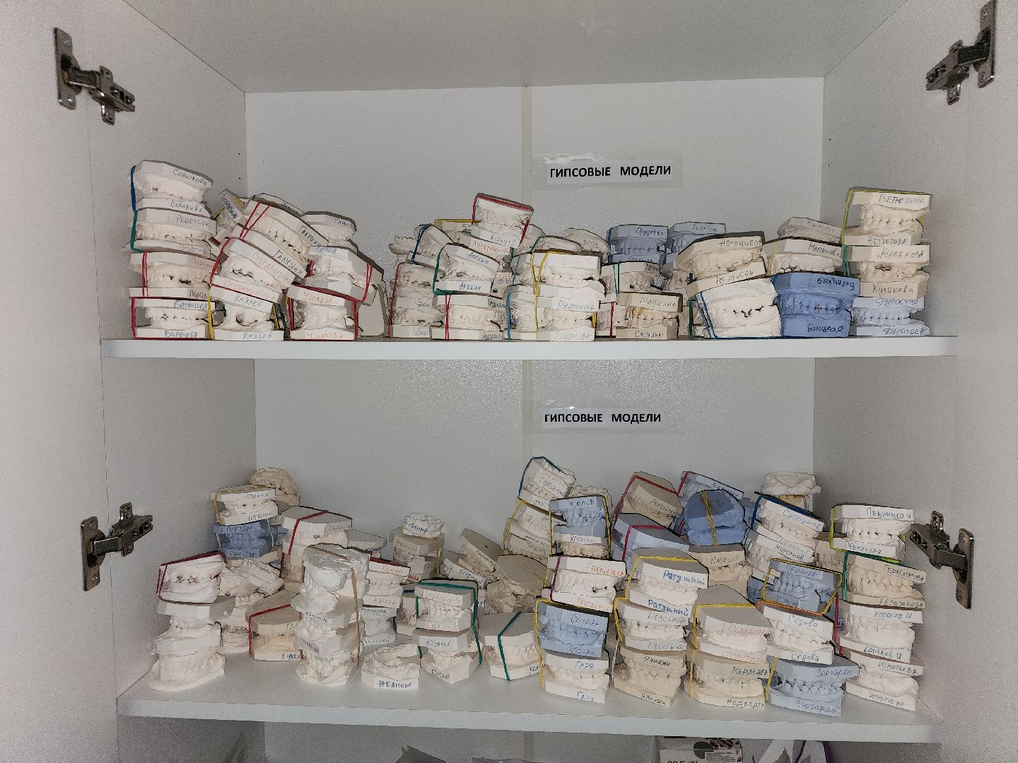 подольск, День ортодонта, Врач-ортодонт, покб,