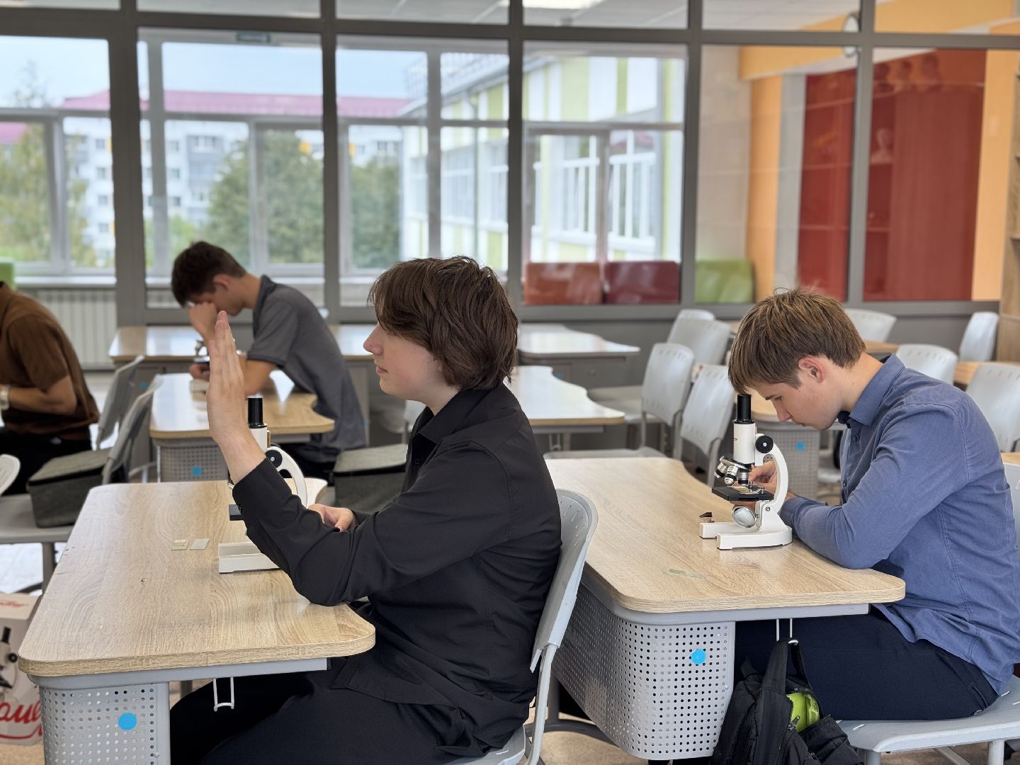 шаховская, образование, точка роста,