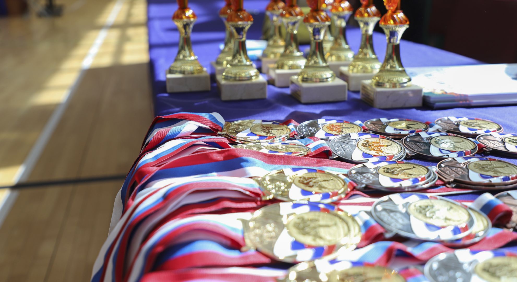 Дзюдо, Александр Михайлин, Домодедово