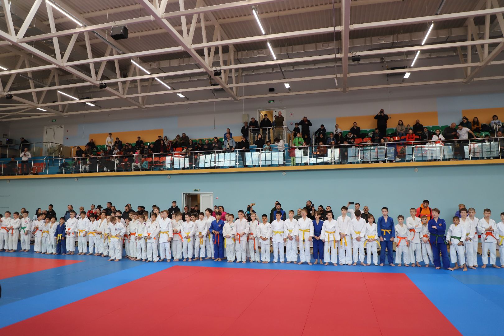 Дзюдо, Александр Михайлин, Домодедово