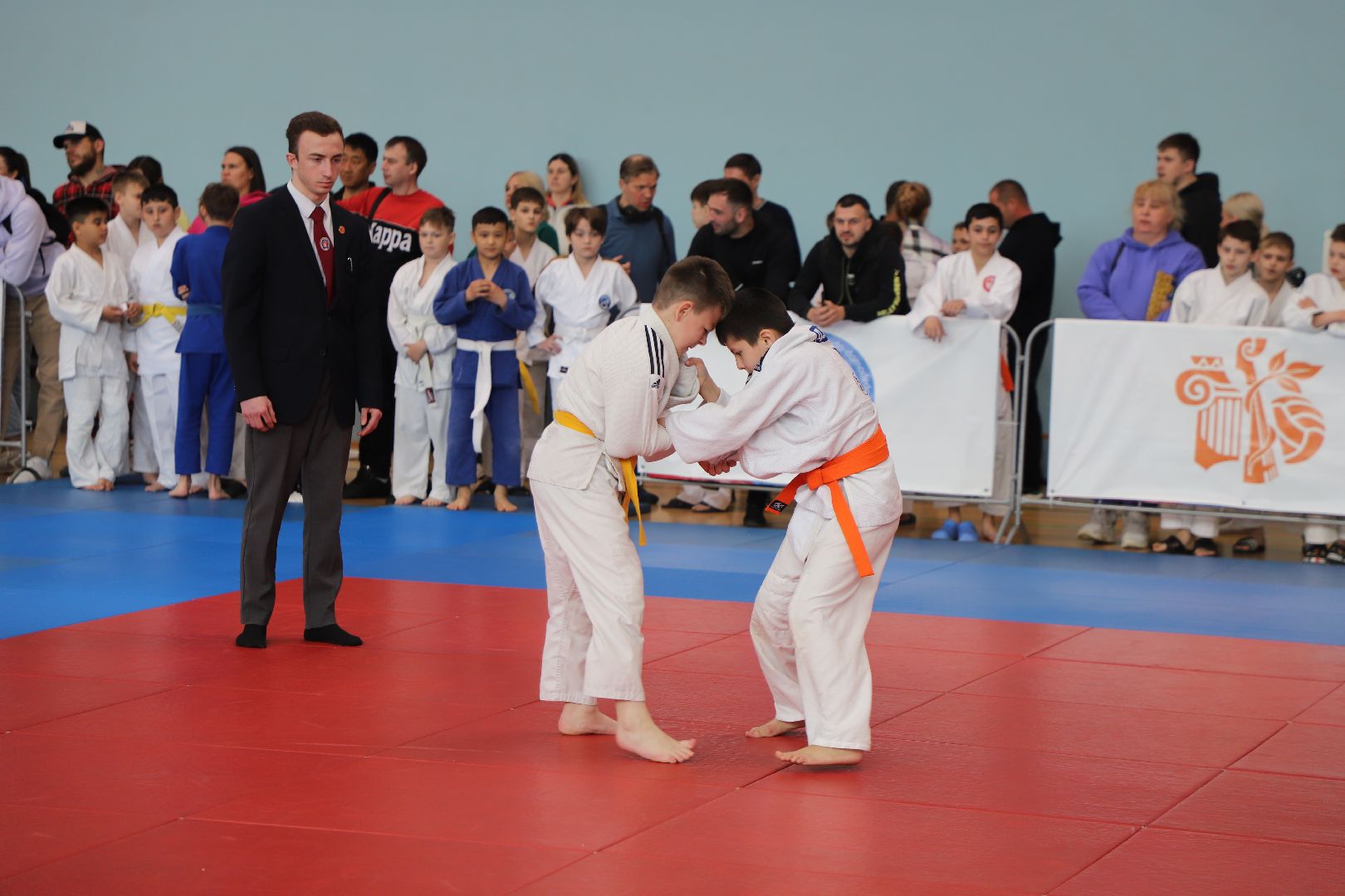 Дзюдо, Александр Михайлин, Домодедово