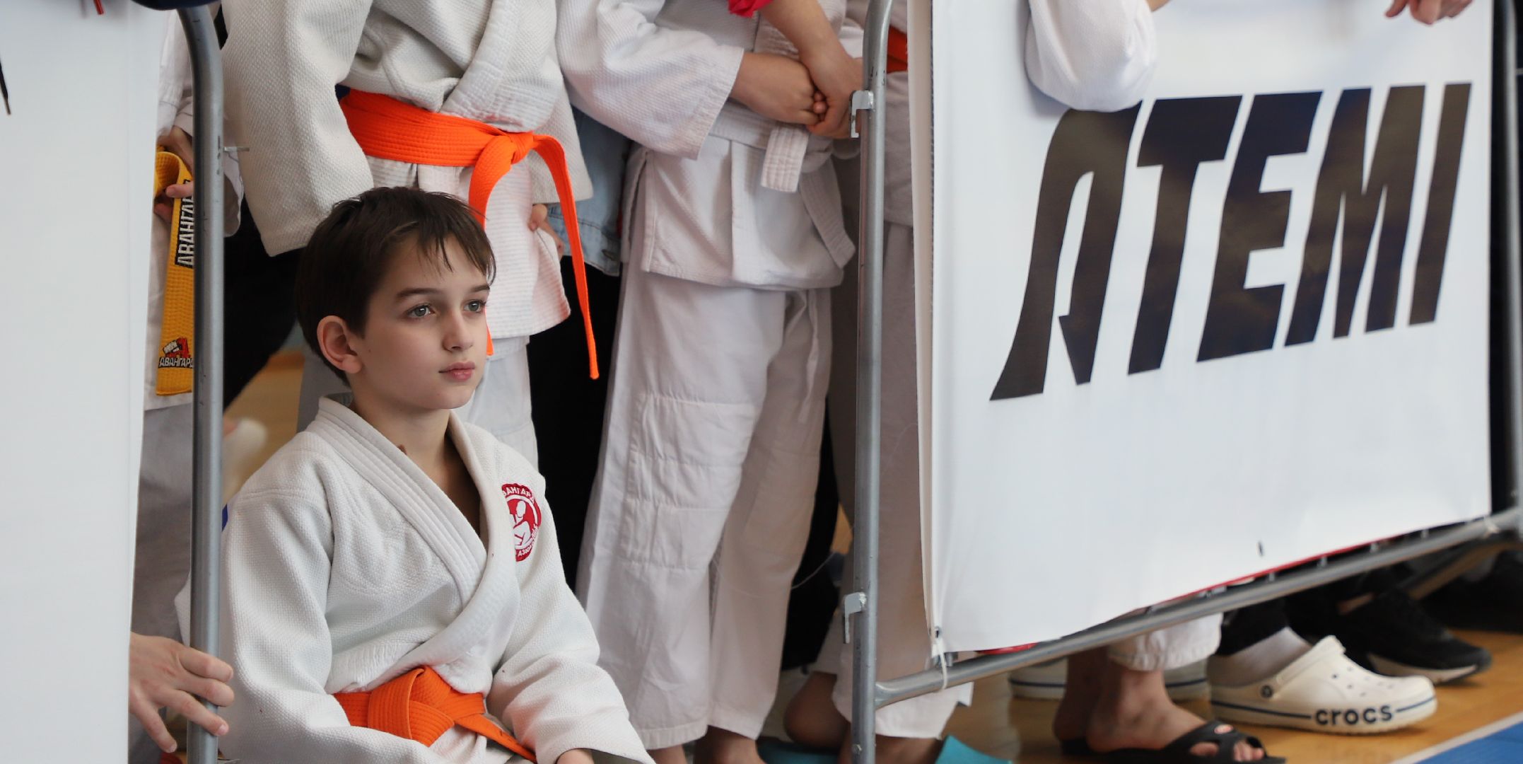 Дзюдо, Александр Михайлин, Домодедово