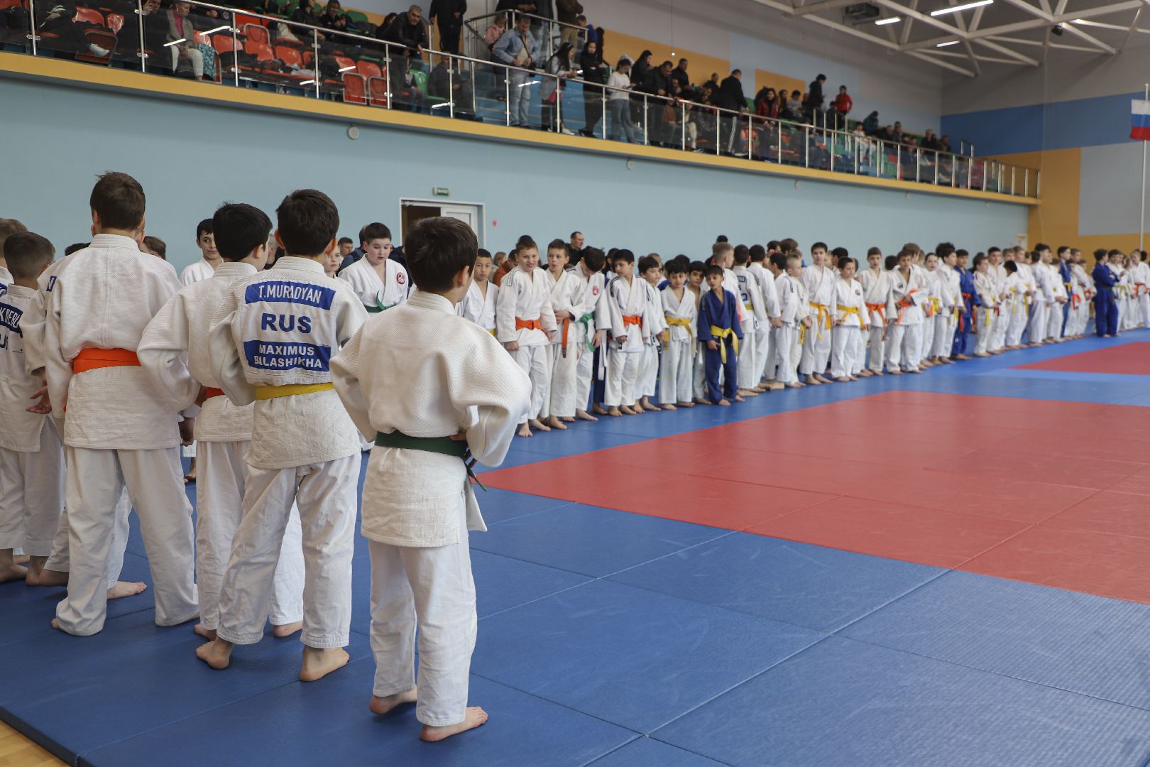 Дзюдо, Александр Михайлин, Домодедово