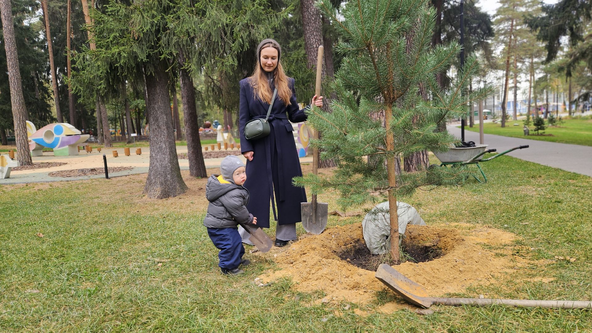эко акция, деревья, жуковский,