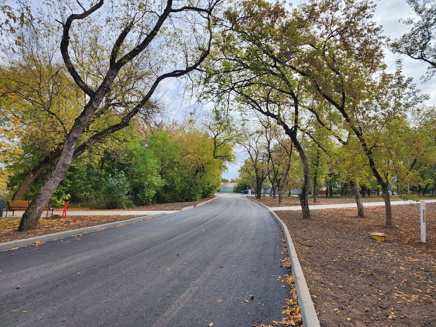 фрязино, благоустройство сквера, общественная территория, пешеходные дорожки,