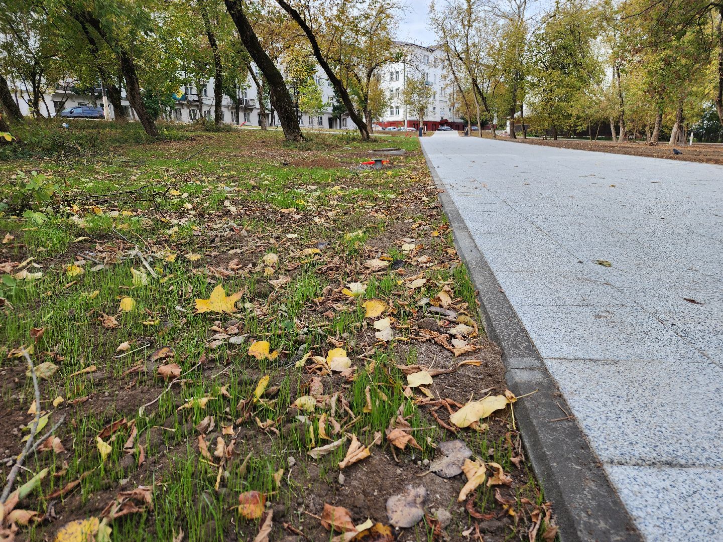 фрязино, благоустройство сквера, общественная территория, пешеходные дорожки,