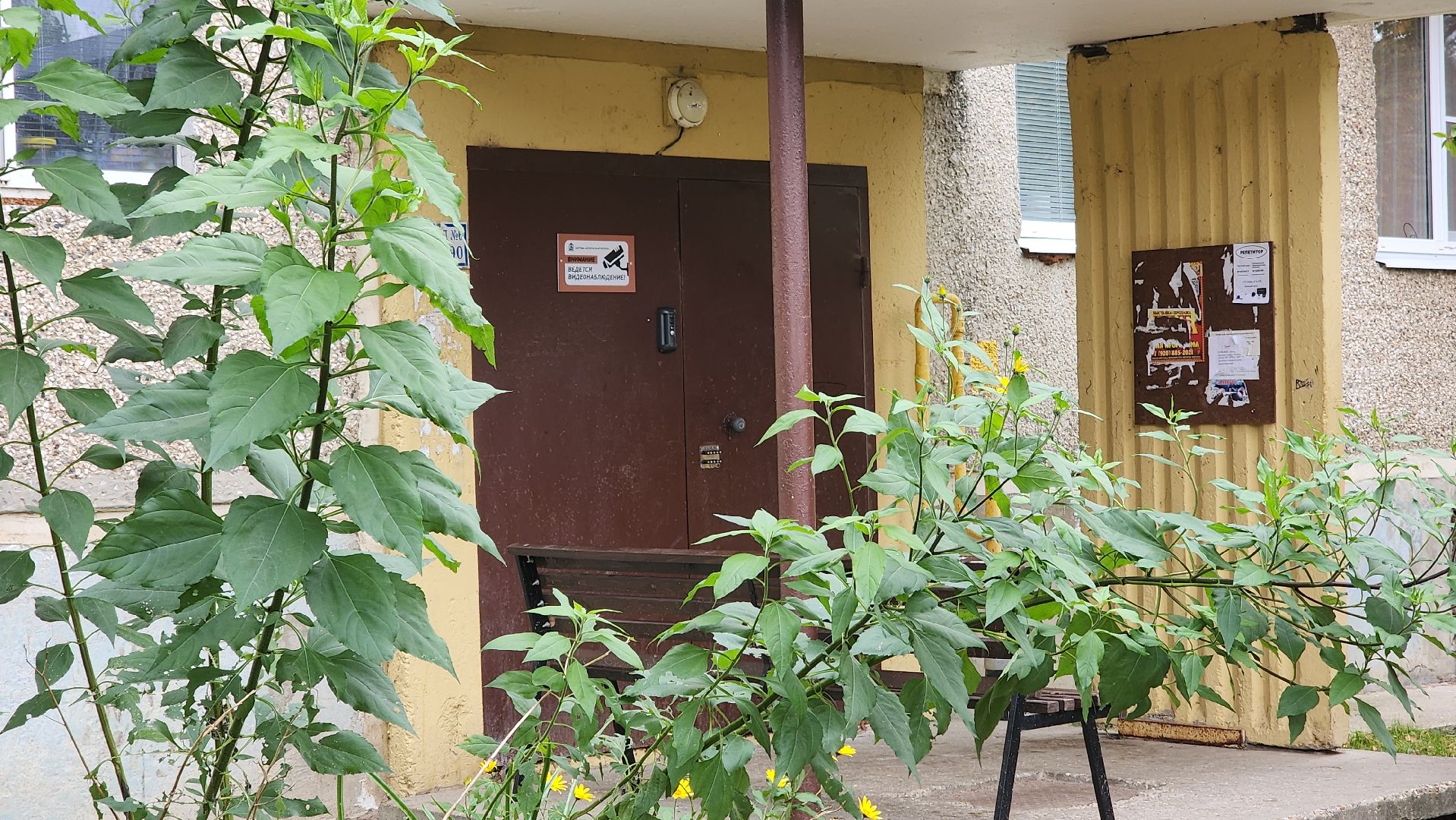 волоколамск, безопасный регион, видеонаблюдение,