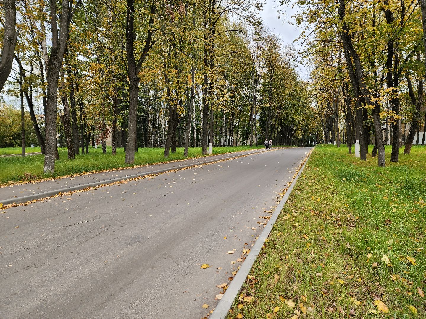 солнечногорск, благоустройство , выстрел , дороги, жители ,