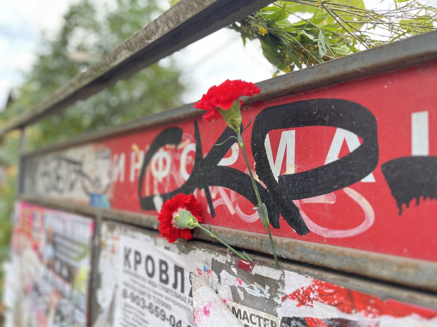 воскресенск,