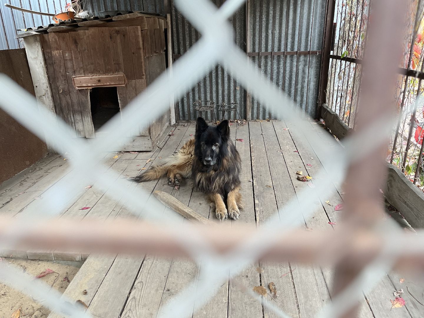 воскресенск,