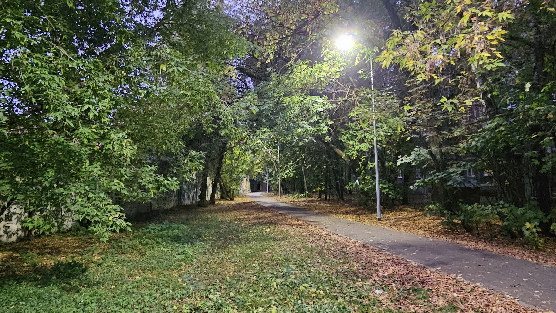 выездная администрация, жуковский, освещение,