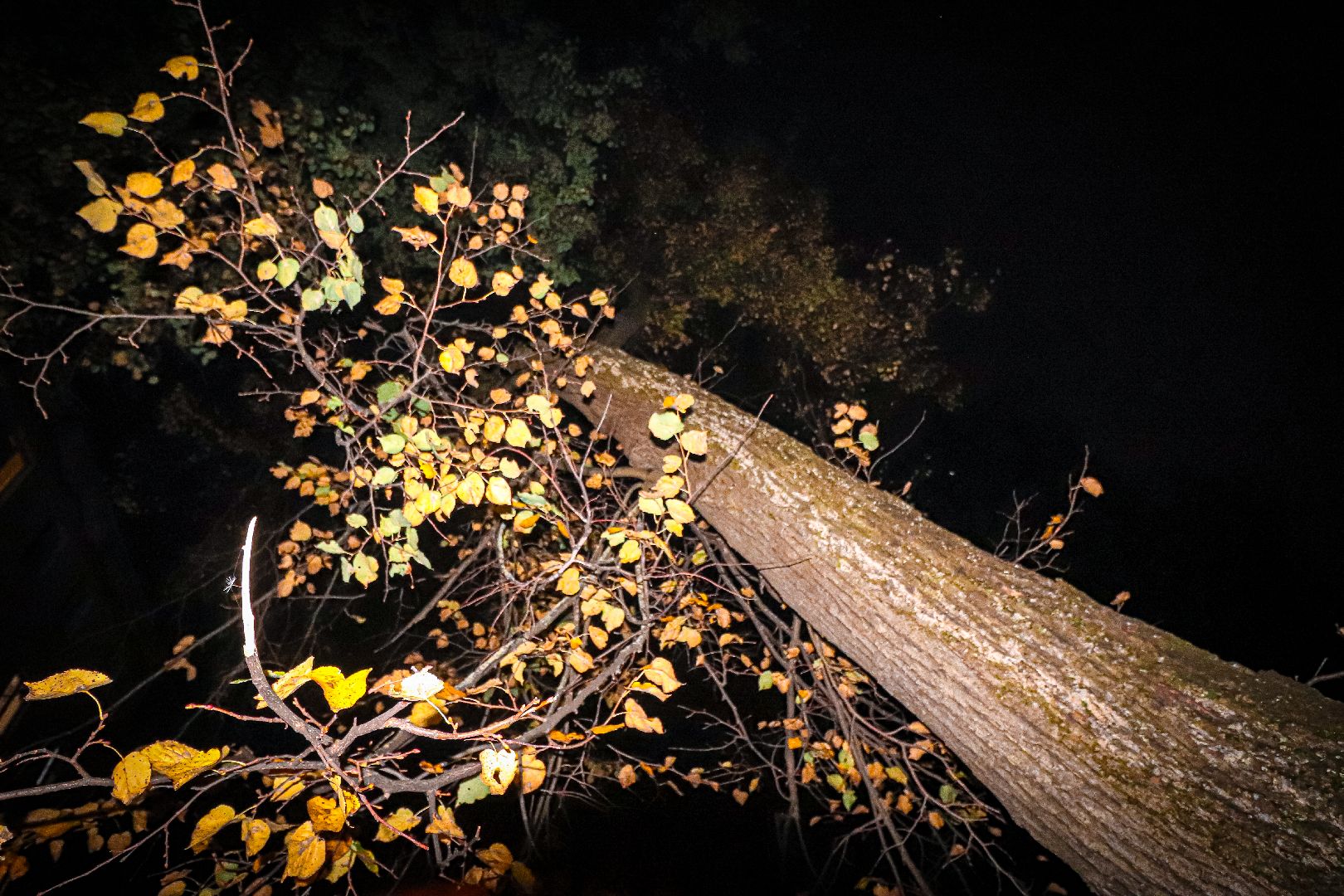 клин, общество, благоустройство, жкх, выездная администрация,