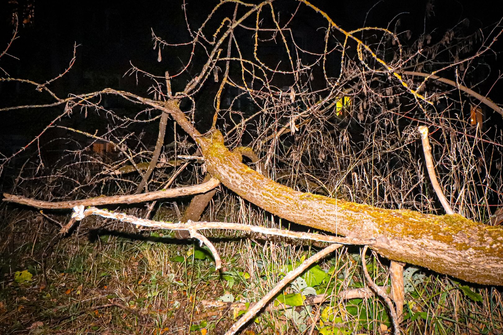 клин, общество, благоустройство, жкх, выездная администрация,