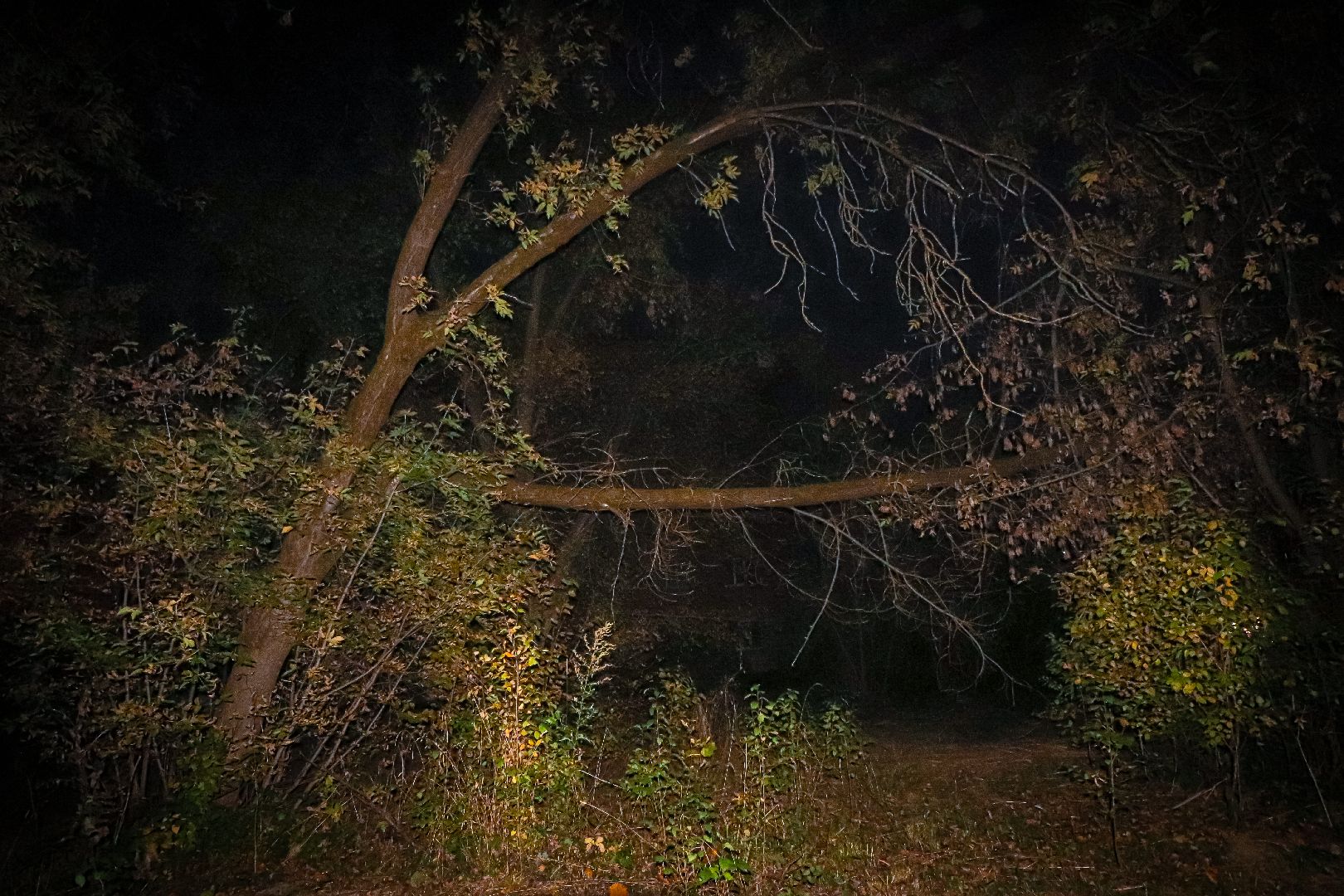 клин, общество, благоустройство, жкх, выездная администрация,