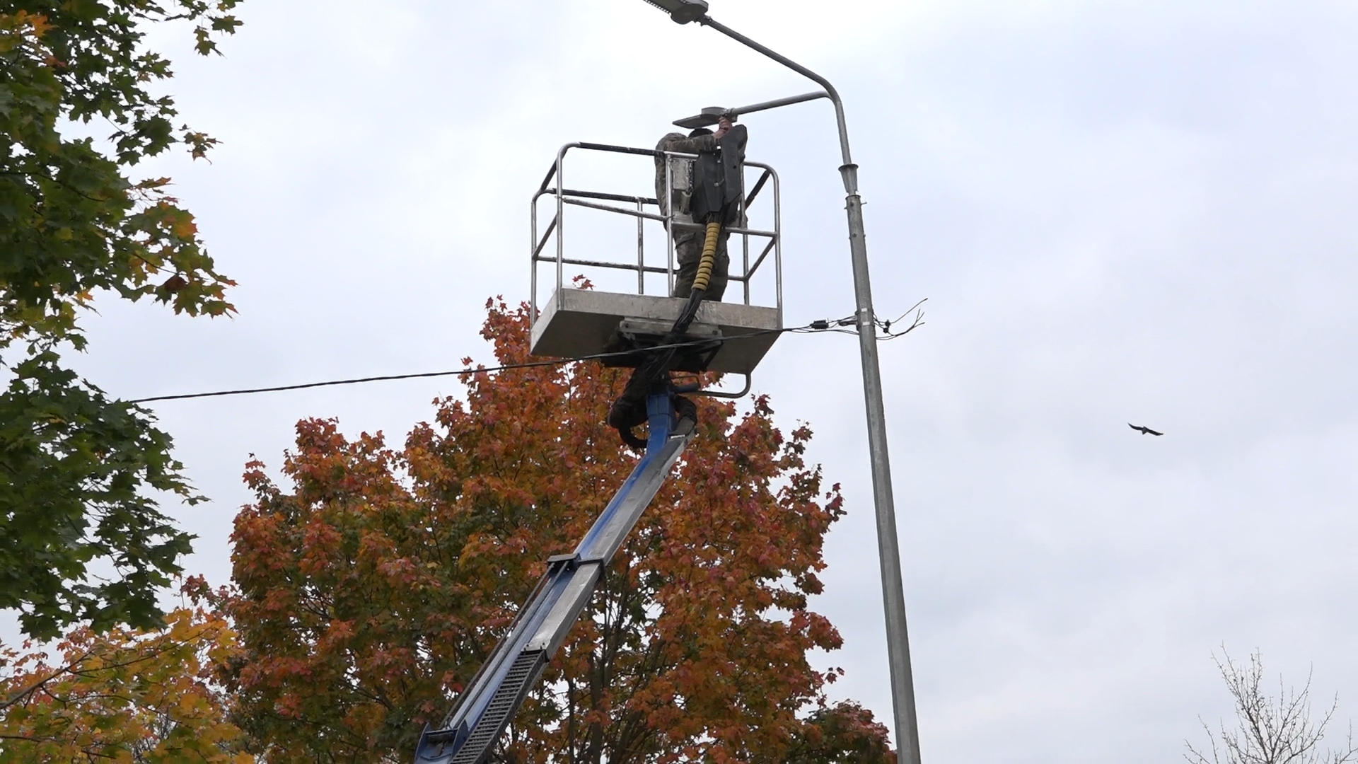 благоустройство территории, власиха благоустройство, цветной бульвар власиха, новая общественная территория, благоустройство 2025,
