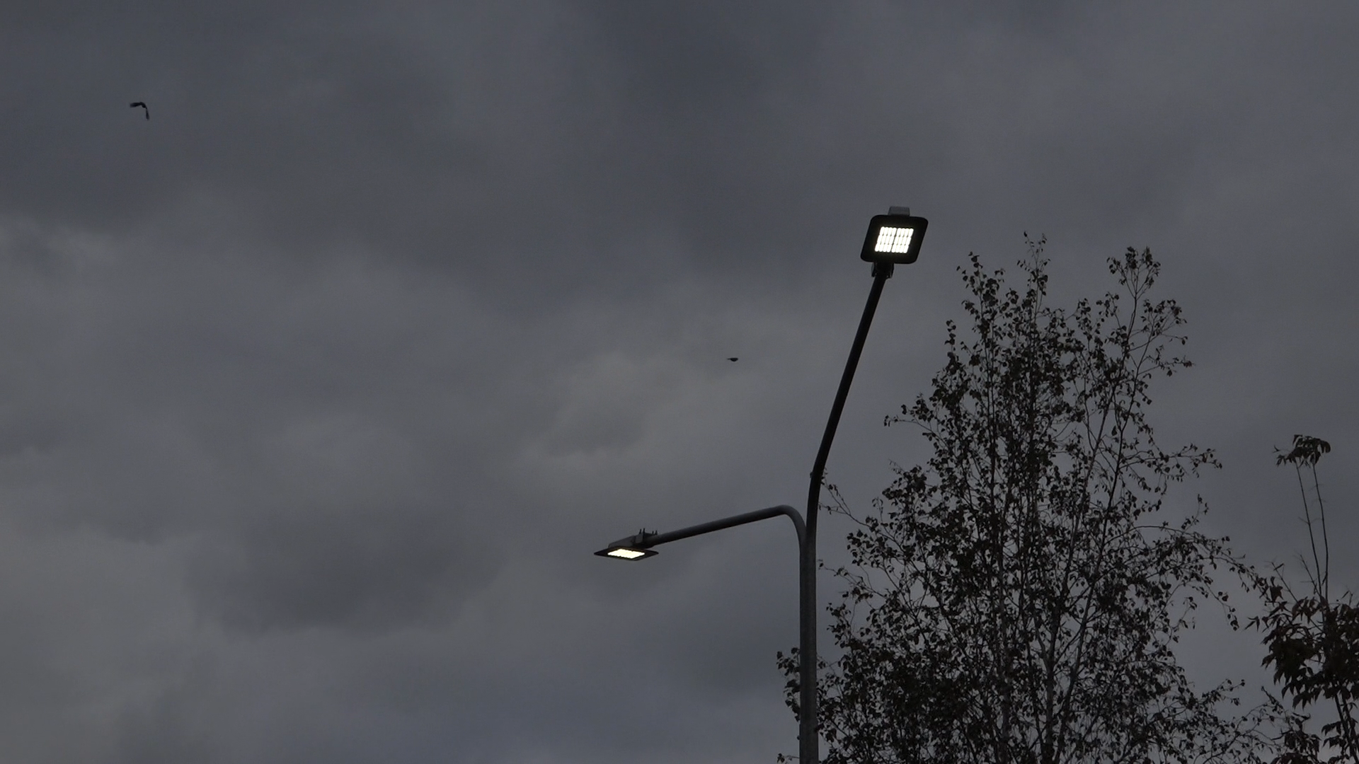 благоустройство территории, власиха благоустройство, цветной бульвар власиха, новая общественная территория, благоустройство 2025,