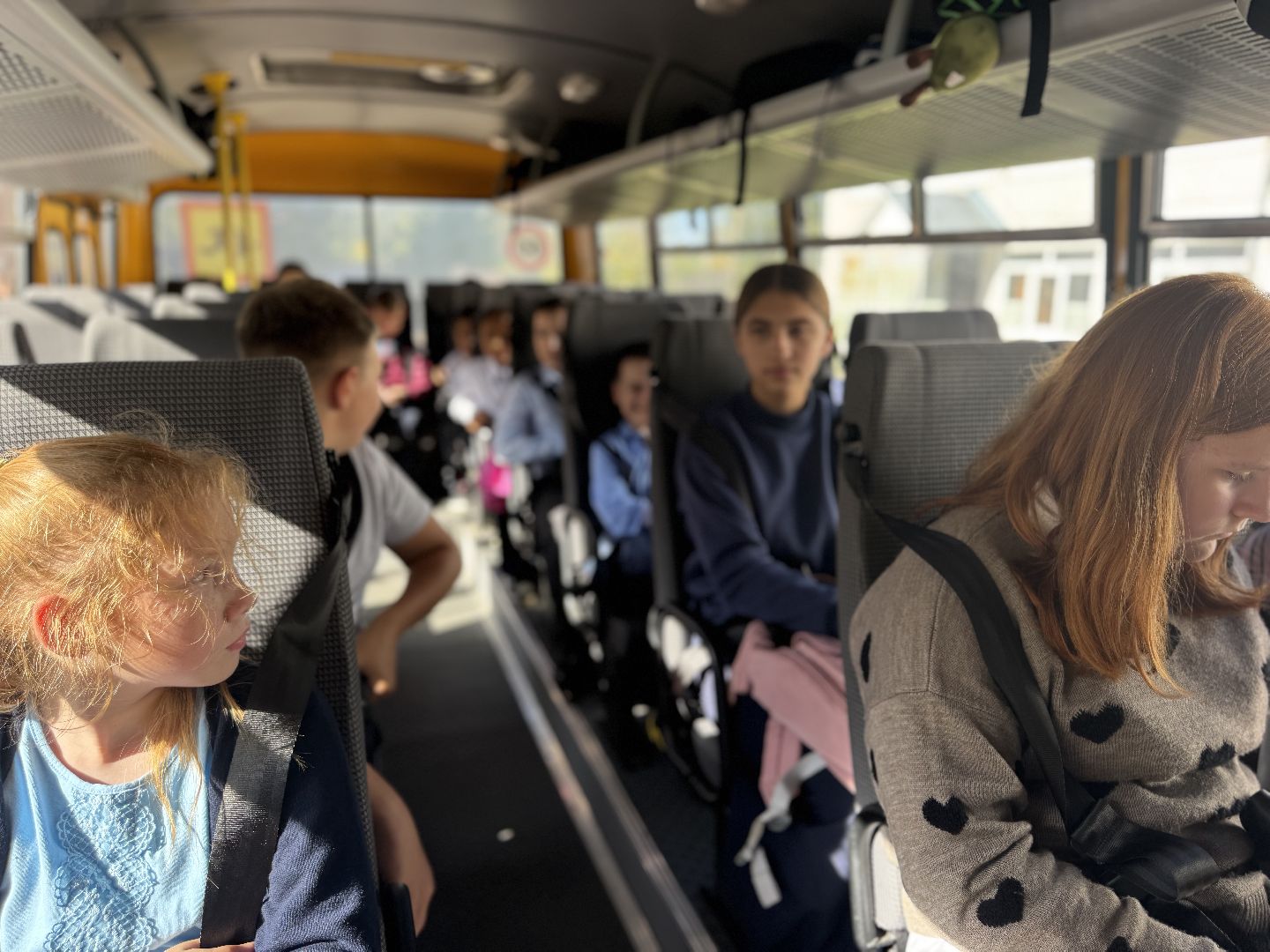 шаховская, новый автобус, школьники, образование,