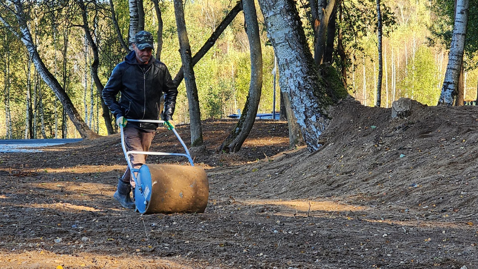 истра, благоустройство, лесопарк,