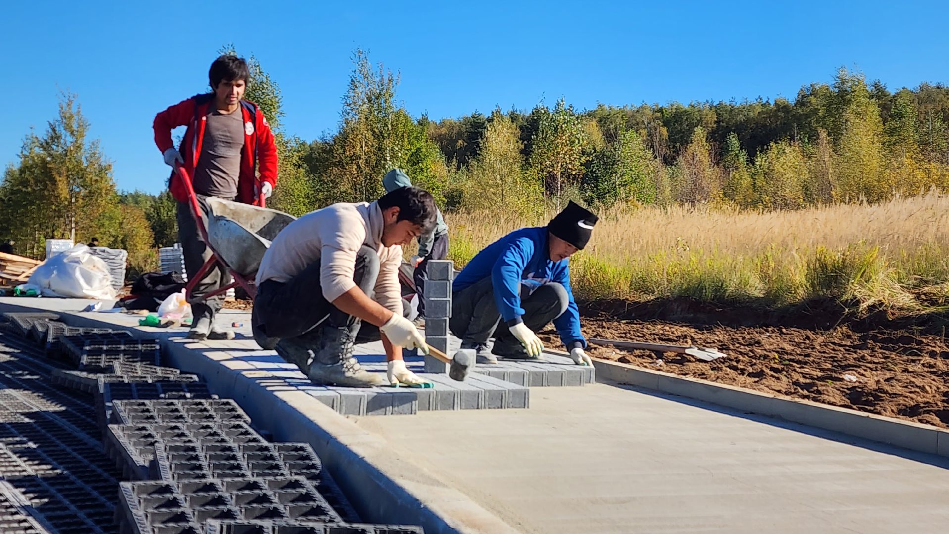 истра, благоустройство, лесопарк,