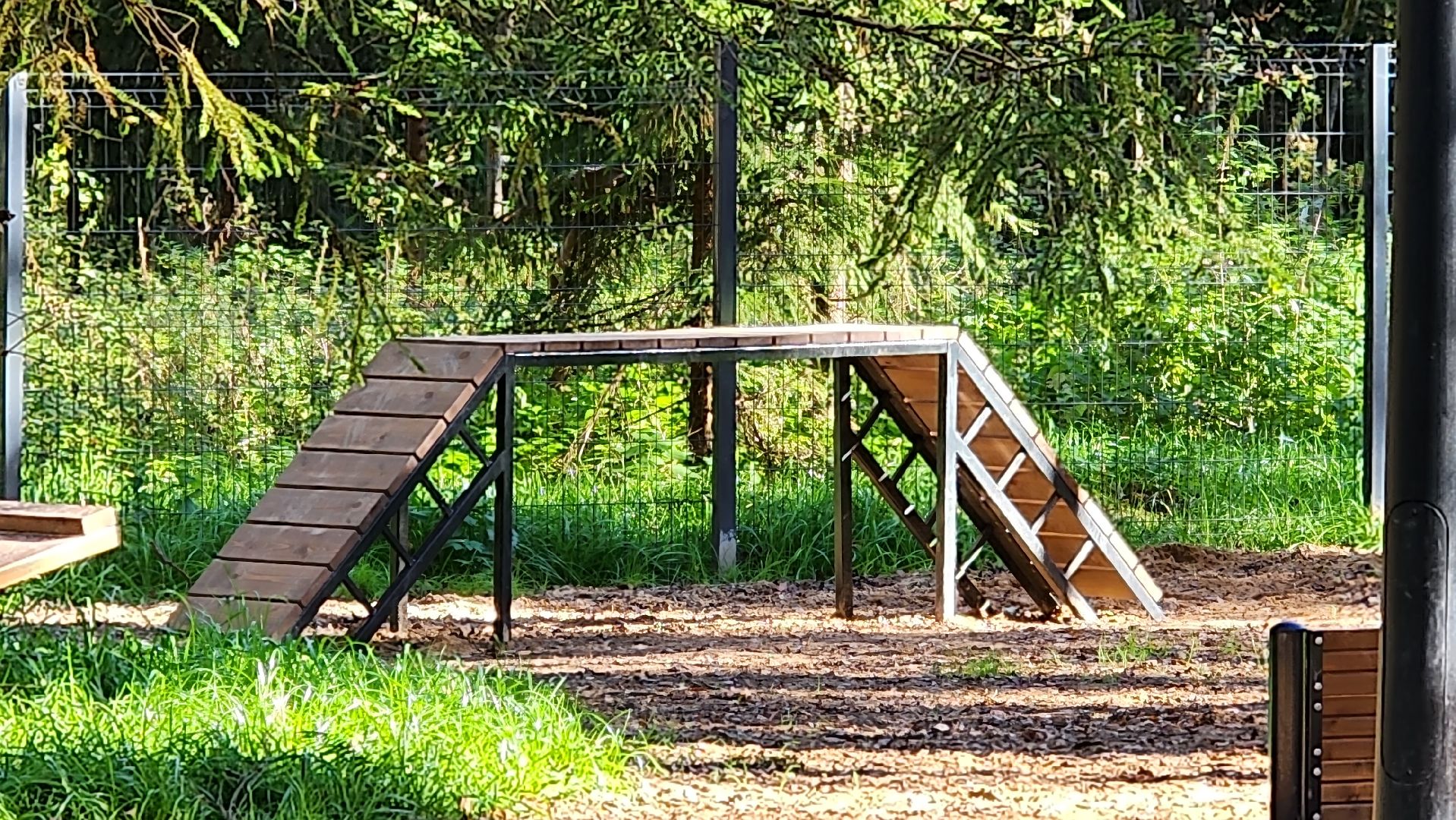 истра, благоустройство, лесопарк,